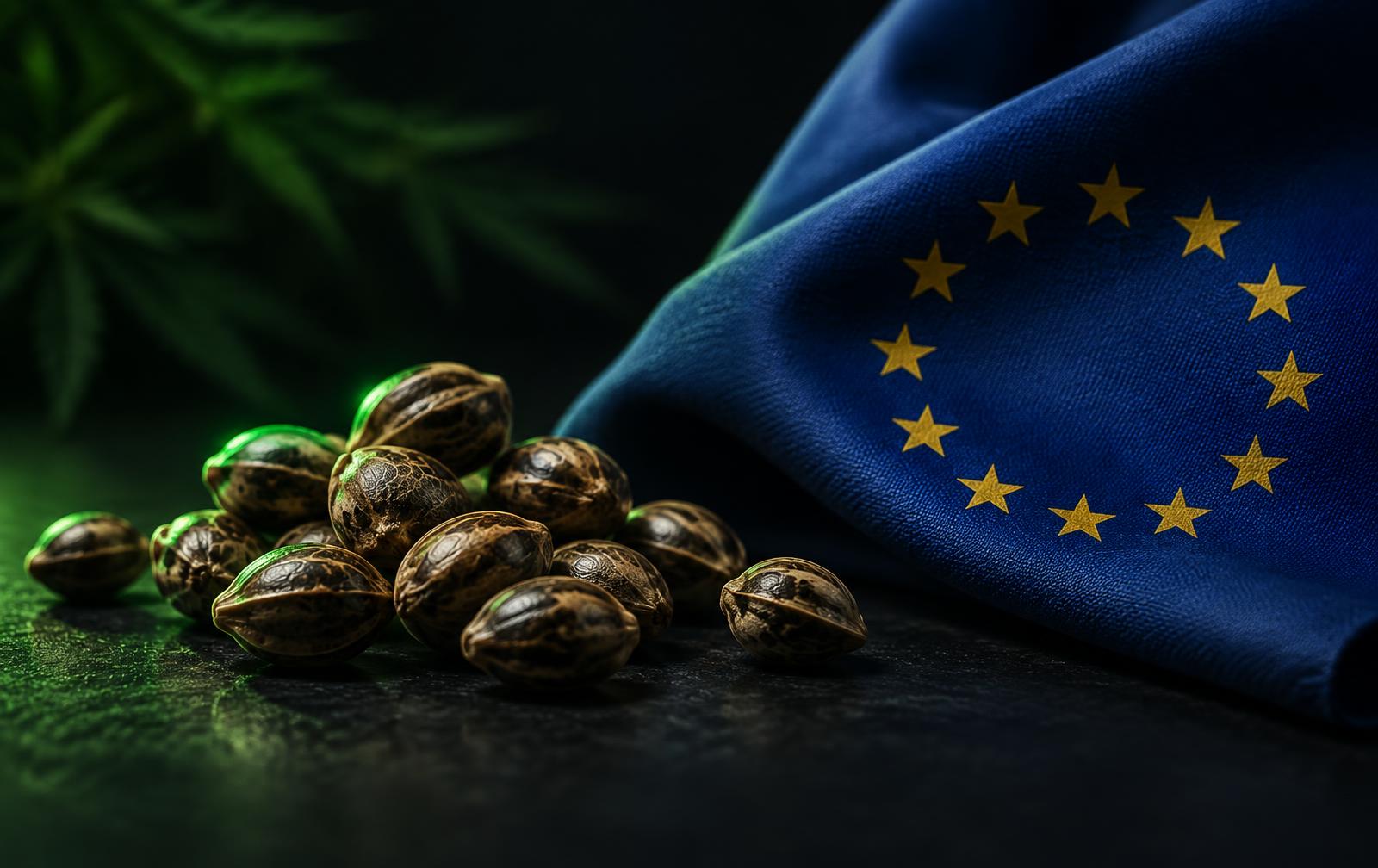 Feminized cannabis seeds on a dark surface beside the flag of the European Union